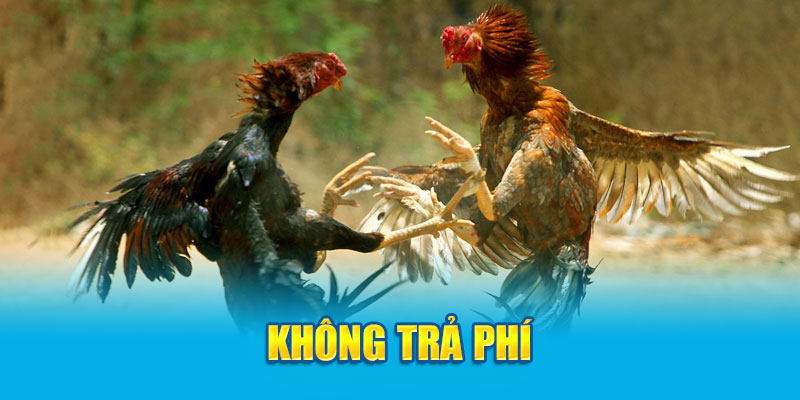 Không trả phí